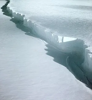 Ross Ice Shelf