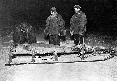 Forde Cherry Garrard and Wilson with a dead leopard seal on a sled