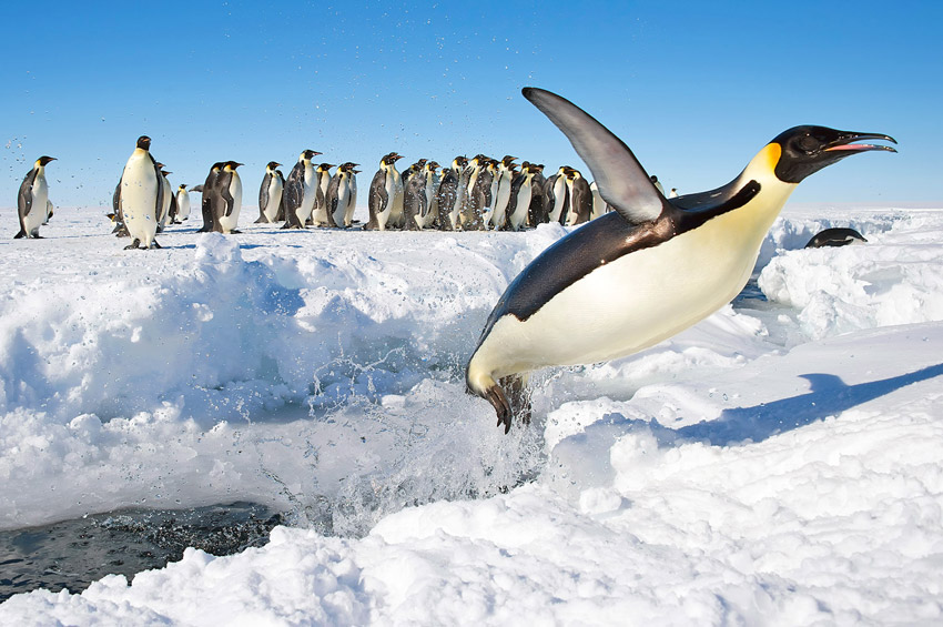 Antarctic cruise ship