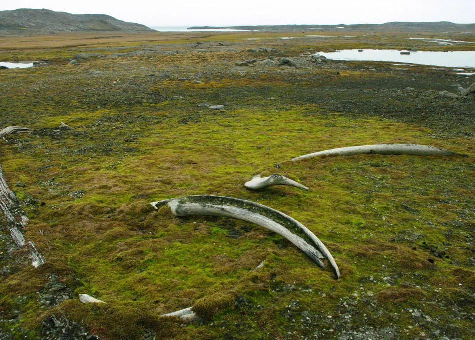 Barentsburg - Svalbard