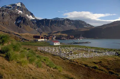 Grytviken Cemetery, South Georgia