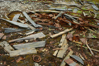 Broken Barrel Staves and Hoops - Northumberland House Beechey Island