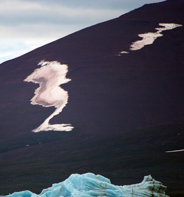 Alien Life Form - Svalbard