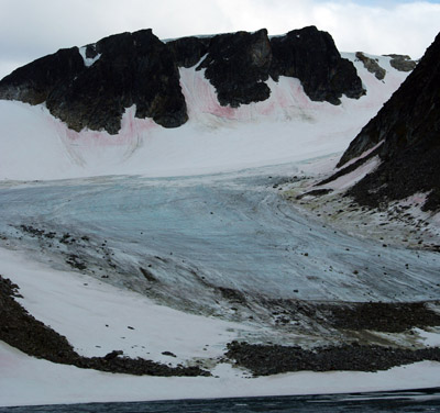 Snow Algae and Glacier - Svalbard