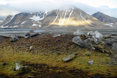 Gashamna, Hornsund, Whale Bones - 6