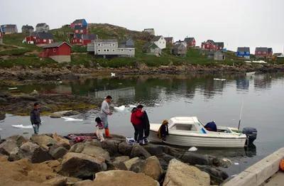 Kulusuk - Seal Hunt Butchery - East Greenland - 3<br />