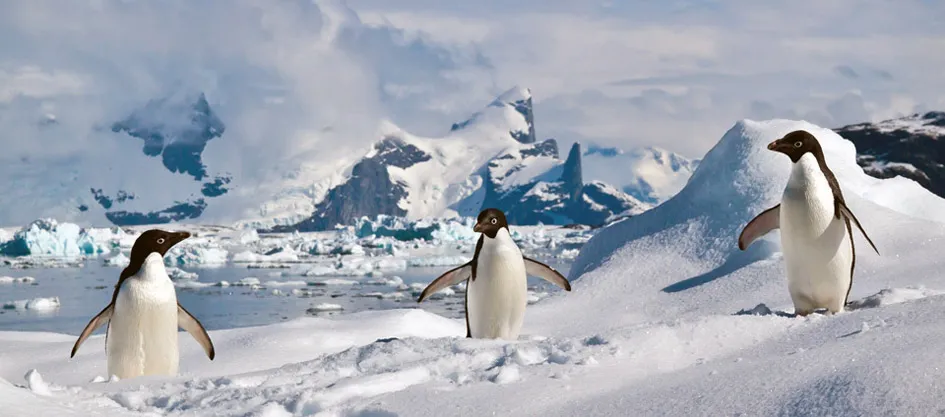 South Shetland Islands